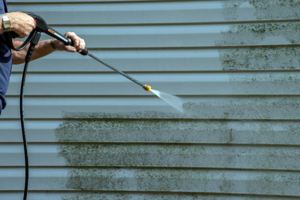 Best House Pressure Washing  in Big Lake, MN
