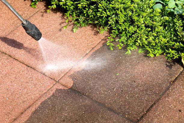 Best Roof Pressure Washing  in Big Lake, MN